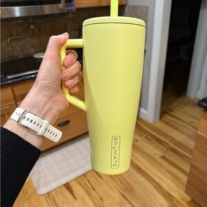 Prickly Pear Brumate Era 40oz Tumbler with Handle